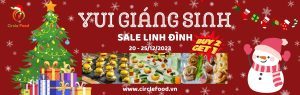 VUI GIÁNG SINH - SALE LINH ĐÌNH